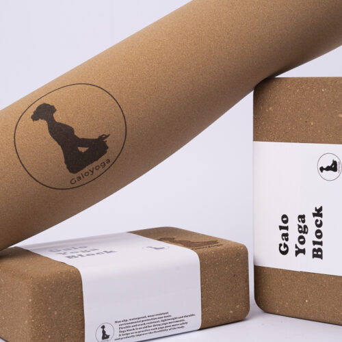 חבילת שעם בייסיק