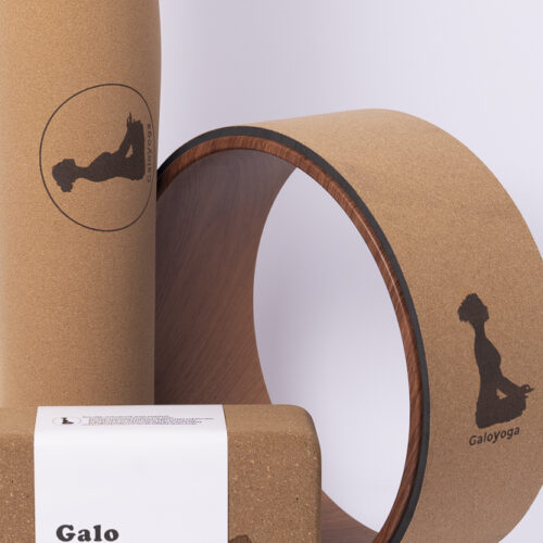 חבילת שעם פרימיום